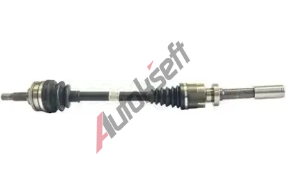 METELLI Hnac hdel MT 17-0596, 17-0596
