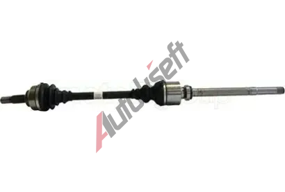 METELLI Hnac hdel MT 17-1134, 17-1134
