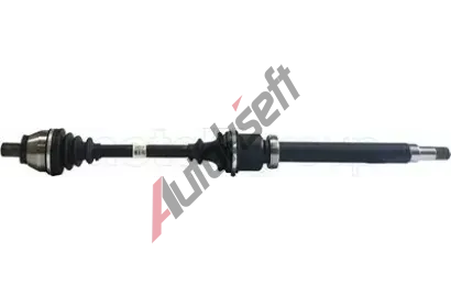METELLI Hnac hdel MT 17-1154, 17-1154