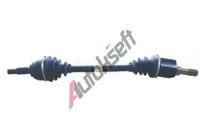 METELLI Hnac hdel MT 17-1172, 17-1172