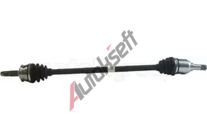 METELLI Hnac hdel MT 17-1296, 17-1296