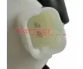 METZGER Vodn epadlo ostikovae skel ORIGINAL ERSATZTEIL GREENPARTS MTG 2220032, 2220032