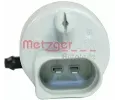METZGER Vodn epadlo ostikovae skel MTG 2220084, 2220084