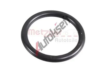 METZGER Tsnc krouek MTG 2430045, 2430045