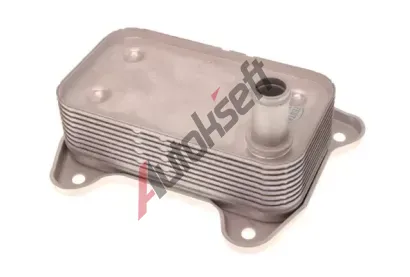 MAXGEAR Chladi oleje MXG 14-0081, 14-0081