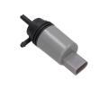 Vodn epadlo ostikovae skel MAXGEAR ‐ MXG 45-0035