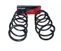 MAXGEAR Pružina podvozku MXG 60-1183D, 60-1183D