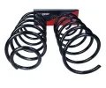 MAXGEAR Pružina podvozku MXG 60-1234D, 60-1234D