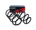 MAXGEAR Pružina podvozku MXG 60-1484D, 60-1484D