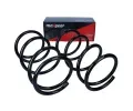 MAXGEAR Pružina podvozku MXG 60-1546D, 60-1546D