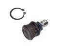 ep ramene MAXGEAR ‐ MXG 69-0801