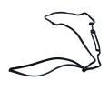 MAXGEAR Tsnn krytu hlavy vlce MXG 70-0120, 70-0120