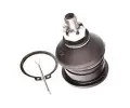 ep ramene MAXGEAR ‐ MXG 72-4842