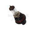 rovka hlavnho svtlometu MAXGEAR ‐ MXG 78-0065
