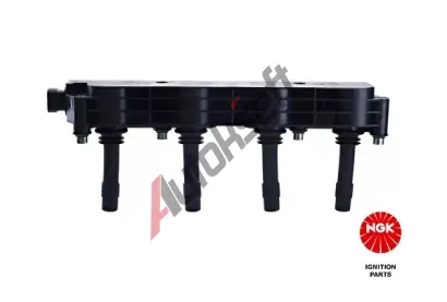 NGK Zapalovac cvka NG 48006, 48006