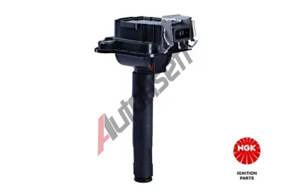 NGK Zapalovac cvka NG 48008, 48008