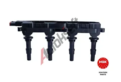 NGK Zapalovac cvka NG 48011, 48011