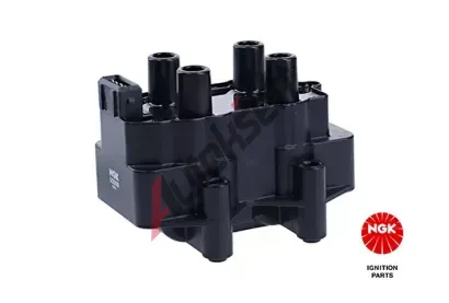 NGK Zapalovac cvka NG 48030, 48030