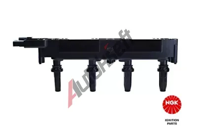 NGK Zapalovac cvka NG 48032, 48032