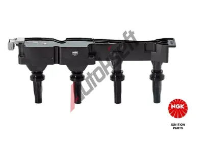 NGK Zapalovac cvka NG 48076, 48076