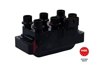 NGK Zapalovac cvka NG 48079, 48079