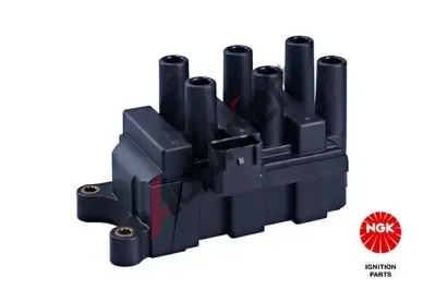 NGK Zapalovac cvka NG 48086, 48086