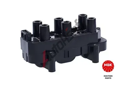 NGK Zapalovac cvka NG 48096, 48096