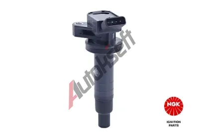 NGK Zapalovac cvka NG 48107, 48107