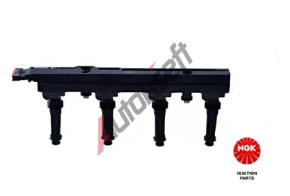 NGK Zapalovac cvka NG 48135, 48135