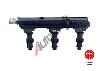 NGK Zapalovac cvka NG 48192, 48192