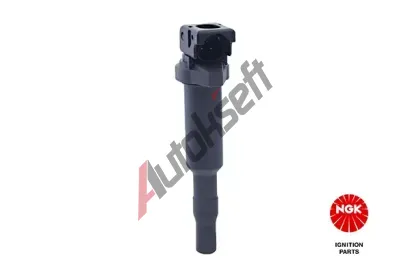 NGK Zapalovac cvka NG 48216, 48216
