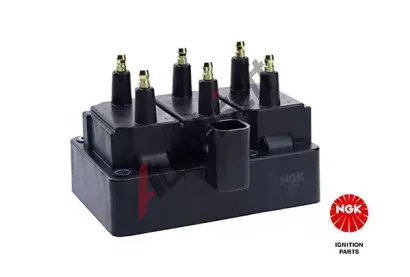 NGK Zapalovac cvka NG 48220, 48220