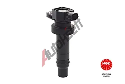 NGK Zapalovac cvka NG 48239, 48239