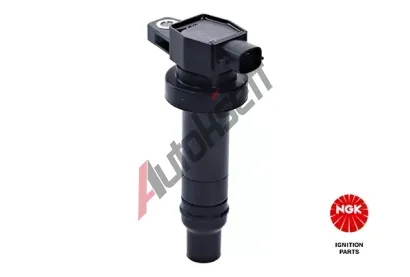 NGK Zapalovac cvka NG 48245, 48245