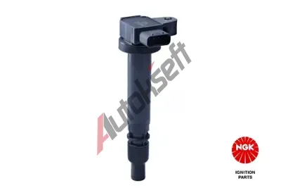 NGK Zapalovac cvka NG 48273, 48273