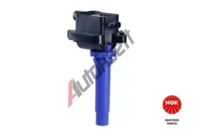 NGK Zapalovac cvka NG 48294, 48294