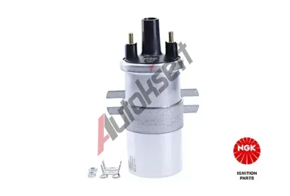 NGK Zapalovac cvka NG 48309, 48309