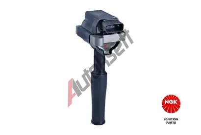 NGK Zapalovac cvka NG 48319, 48319