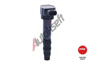 NGK Zapalovac cvka NG 48398, 48398