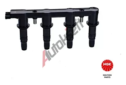 NGK Zapalovac cvka NG 48407, 48407