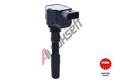 NGK Zapalovac cvka NG 48887, 48887