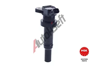 NGK Zapalovac cvka NG 49048, 49048