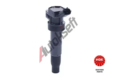NGK Zapalovac cvka NG 49052, 49052
