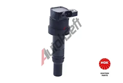 NGK Zapalovac cvka NG 49054, 49054