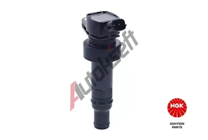 NGK Zapalovac cvka NG 49055, 49055