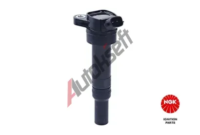NGK Zapalovac cvka NG 49059, 49059