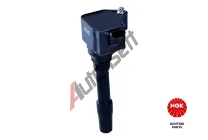 NGK Zapalovac cvka NG 49061, 49061