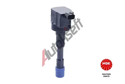 NGK Zapalovac cvka NG 49070, 49070