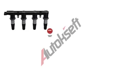 NGK Zapalovac cvka NG 49076, 49076