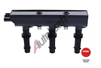 NGK Zapalovac cvka NG 49077, 49077